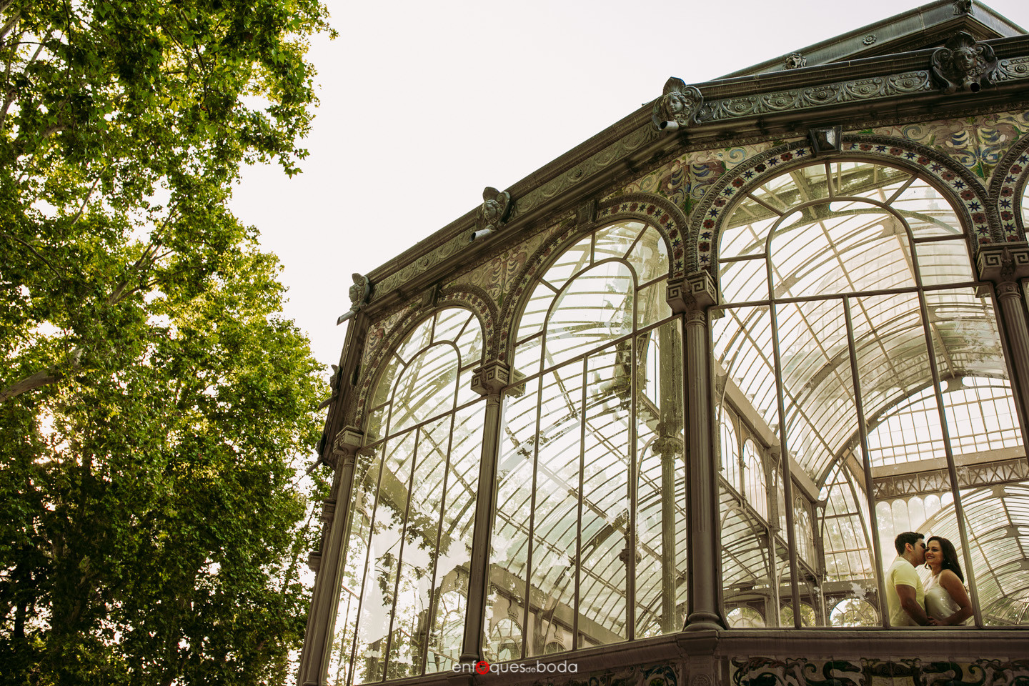 5P5A8605PREBODA MADRID