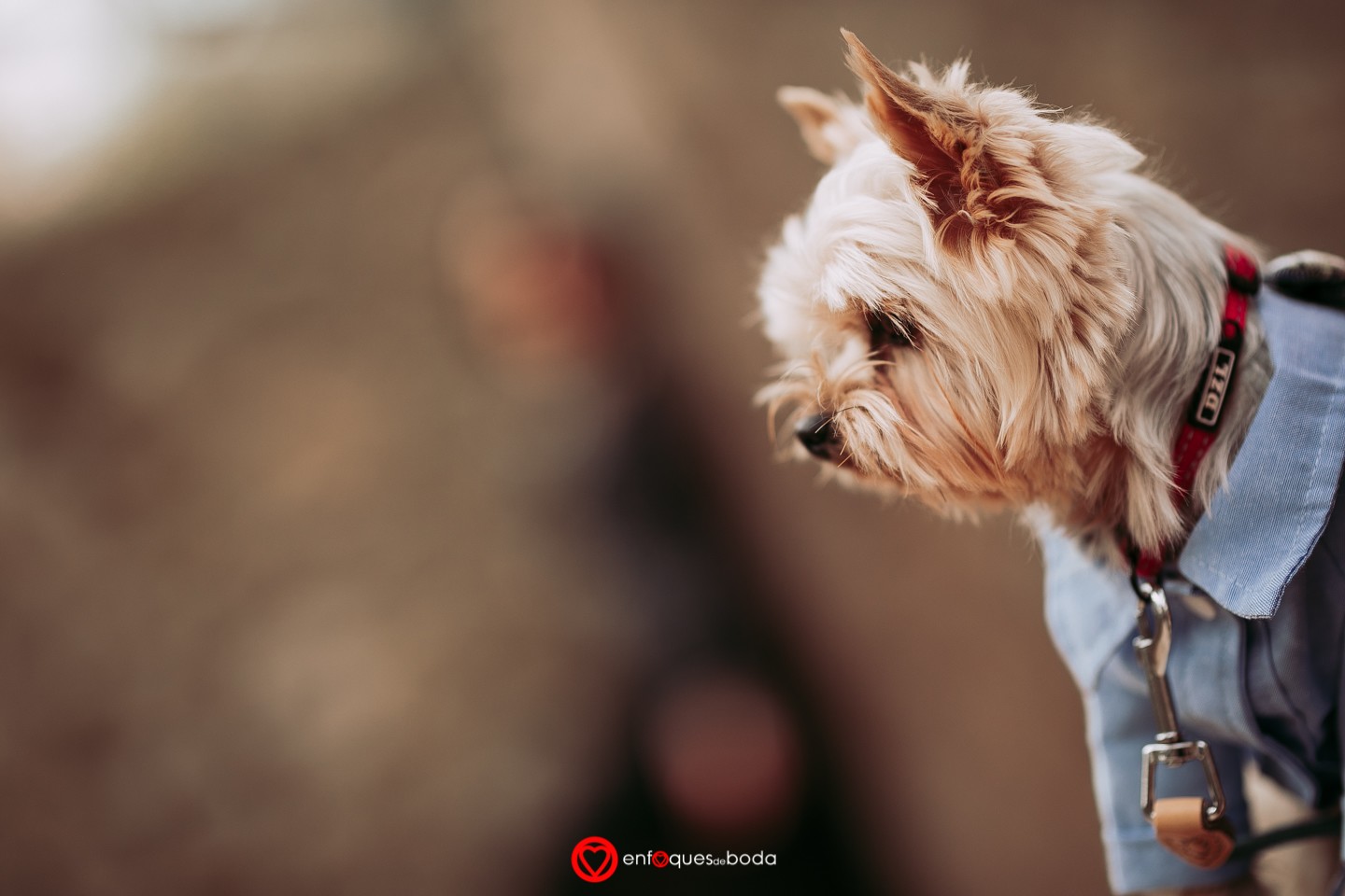 5P5A0231PREBODA DANIEL Y LORENA