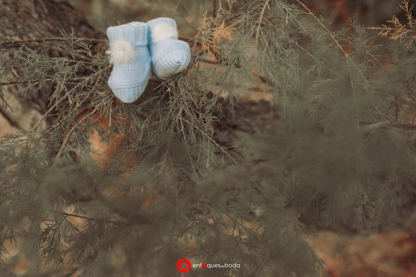 5P5A8052PREMAMA ERIKA